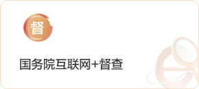 国务院互联网+督查