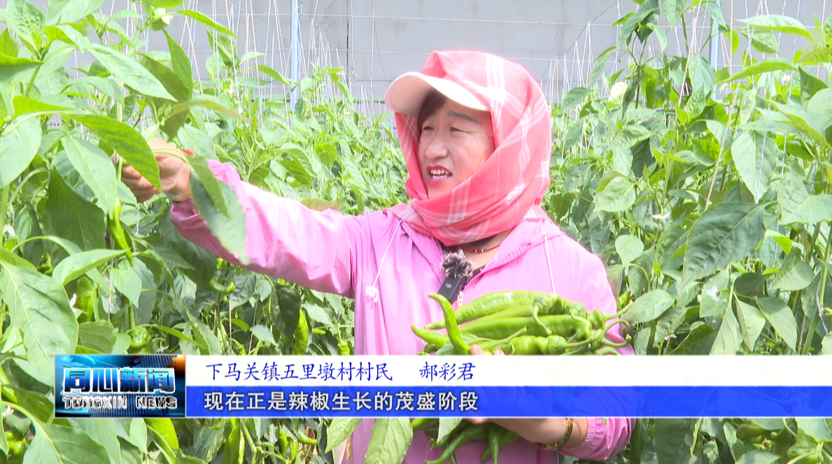 微信图片_2026-04-30_171453_907.png
