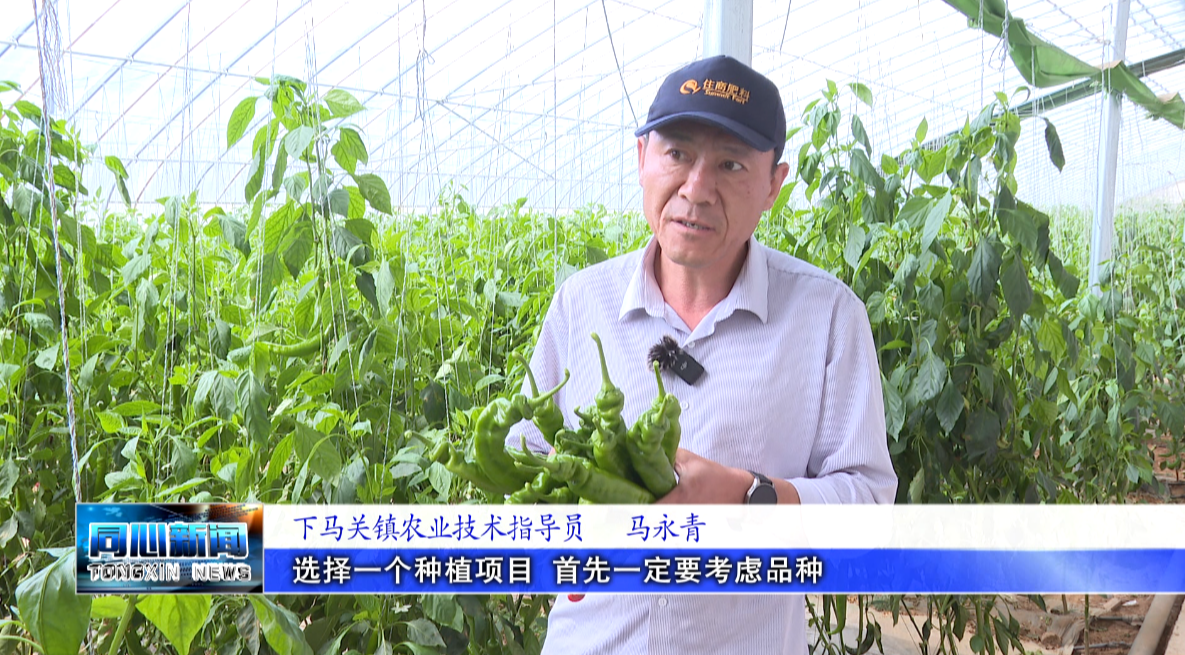 微信图片_2026-04-30_171457_730.png