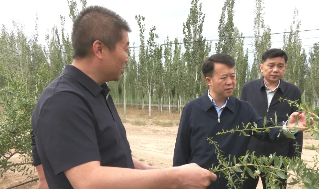 微信图片_2026-05-25_192541_286.jpg