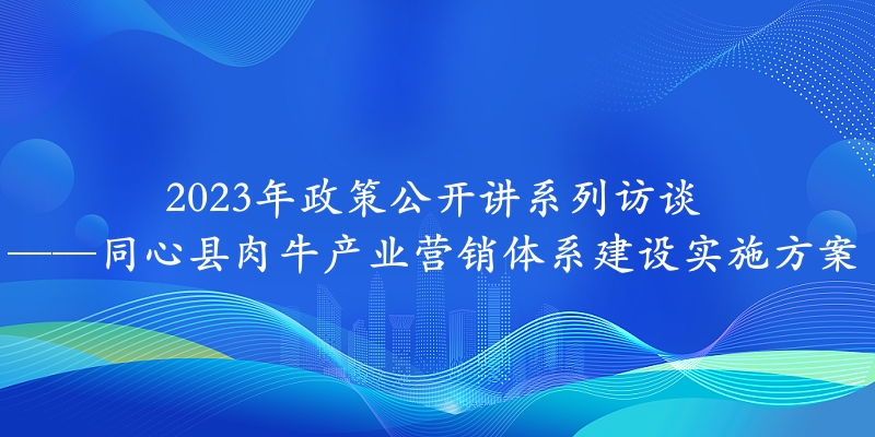 2023年政策公开讲系列访谈⑰丨同心县肉牛产业营销体系建设实施方案